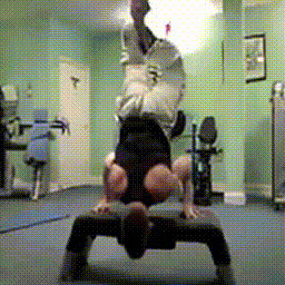 GIF 5